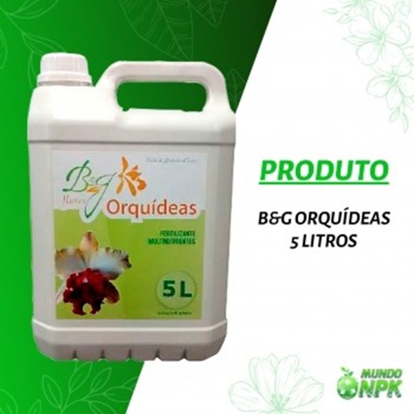 B&G Orquídeas - B&G Flores - 05 Litros - Orquiloja
