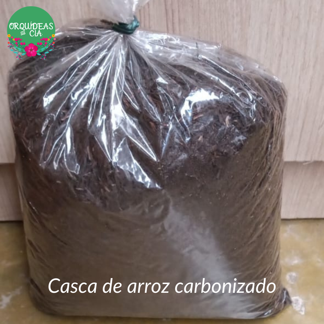 Casca de arroz carbonizado substrato