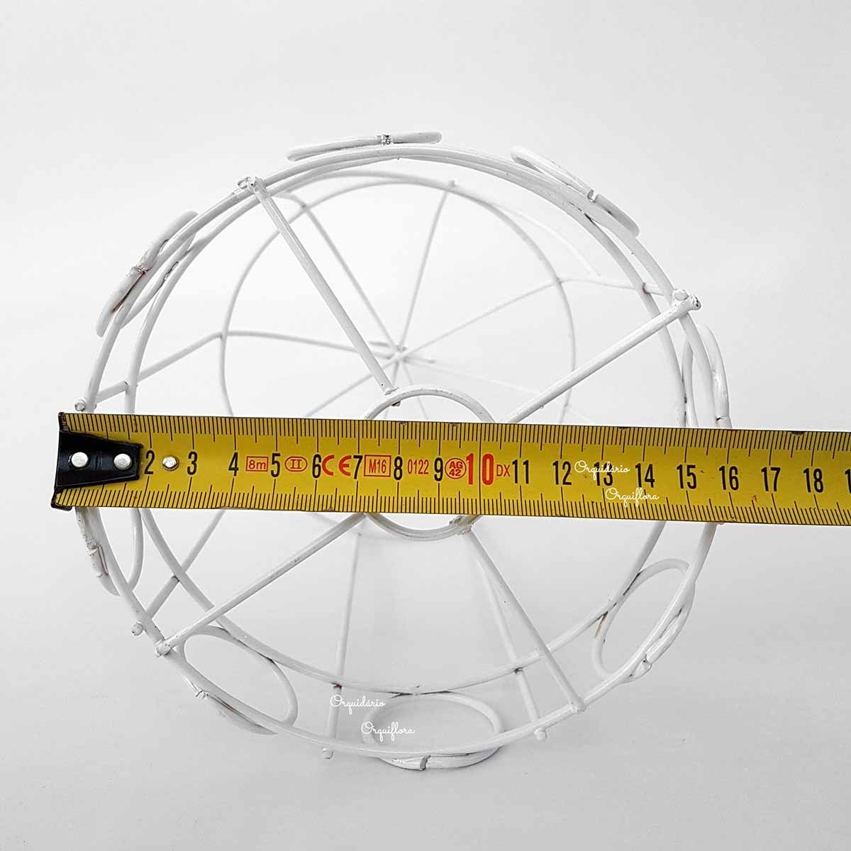 Muda De Samambaia Prata Com Gaiola Pendente Decorativa Tam P