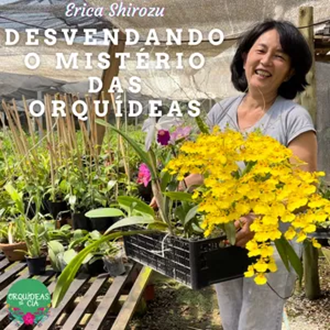 Desvendando os Mistérios das Orquídeas com Erica Shirozu