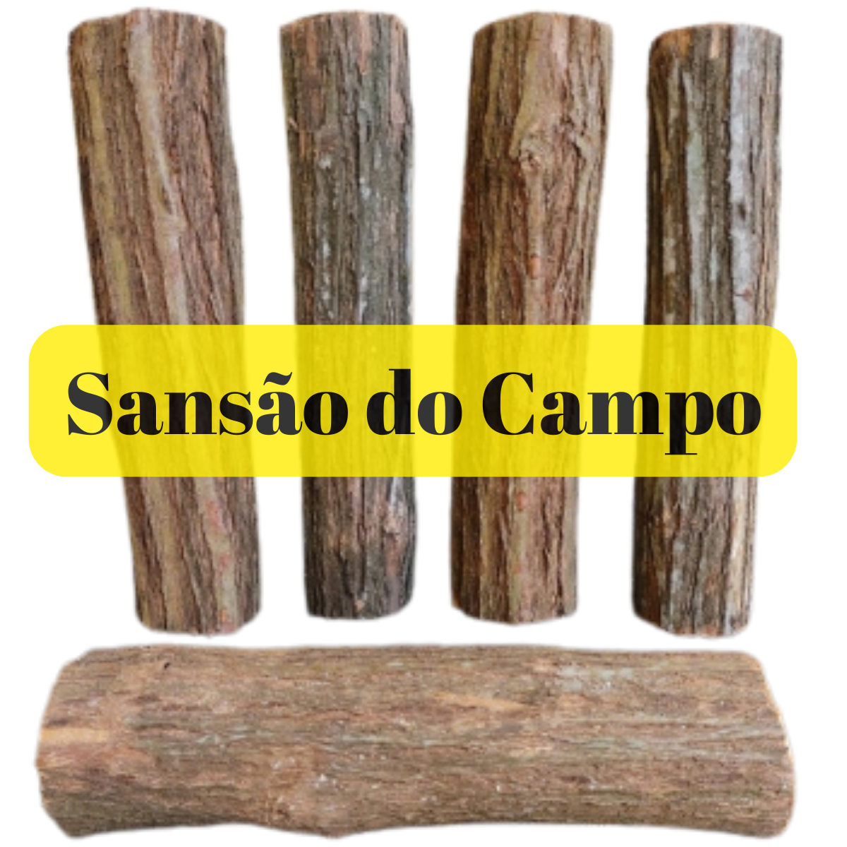 Toco de sansão 05 unidades de 30cm - 02 à 05cm de espessura