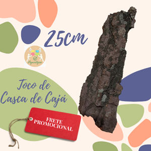 Toco de Casca de Cajá 25cm