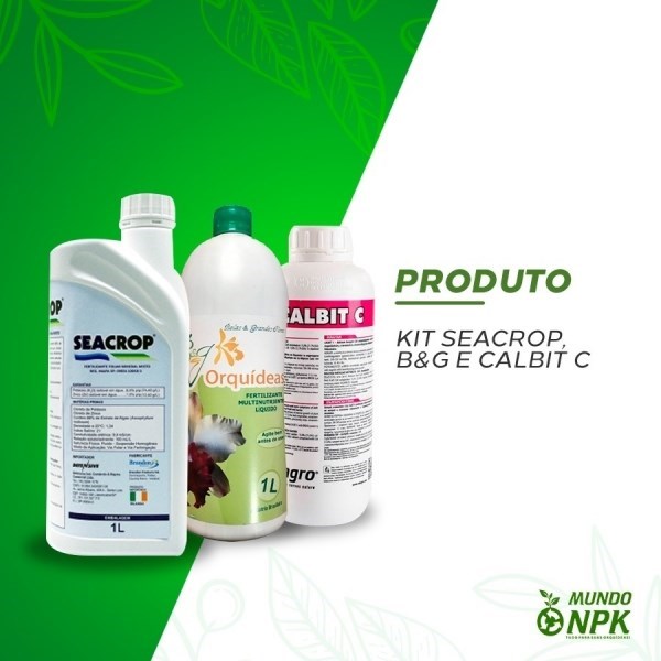 Kit Seacrop,B&G e Calbit C