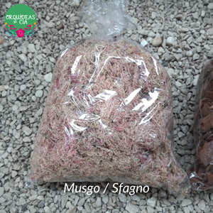 Substrato Musgo 1L