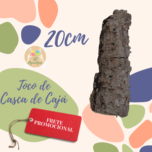 Toco de Casca de Cajá 20cm