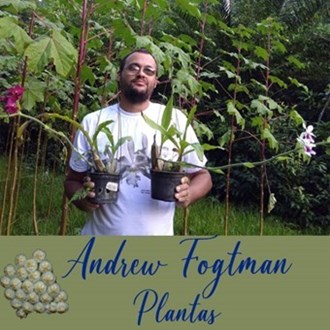 Andrew Fogtman Plantas
