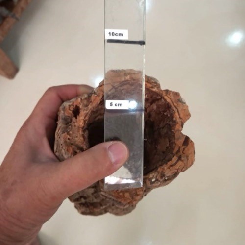 Casca Oca Suporte Rústico de Madeira para Arranjos