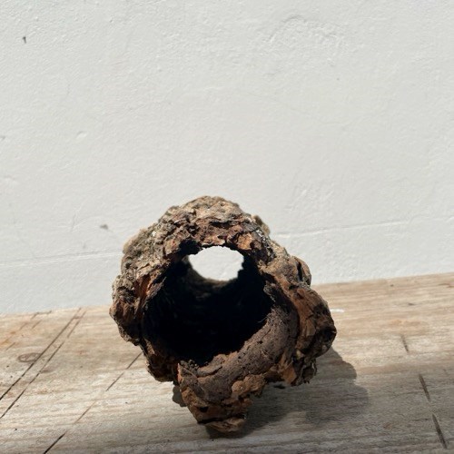 Casca Oca Suporte Rústico de Madeira para Arranjos