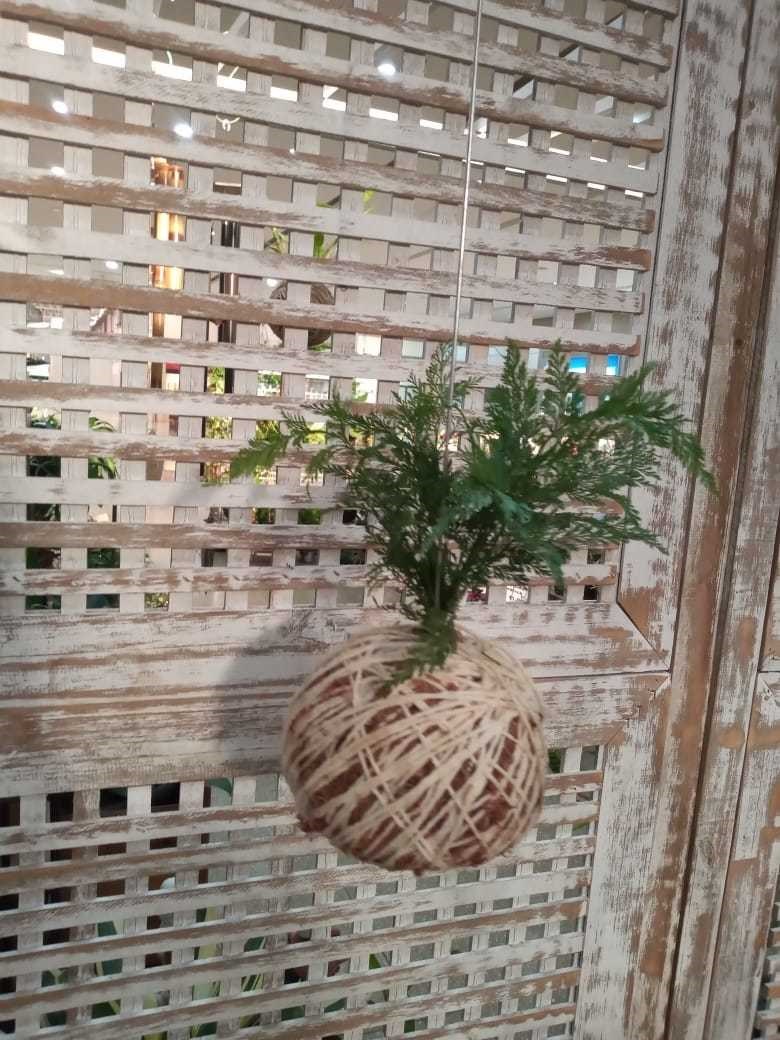 Kokedama de Folhagem Renda Francesa pequena