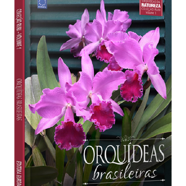 Livro - Orquídeas Brasileiras