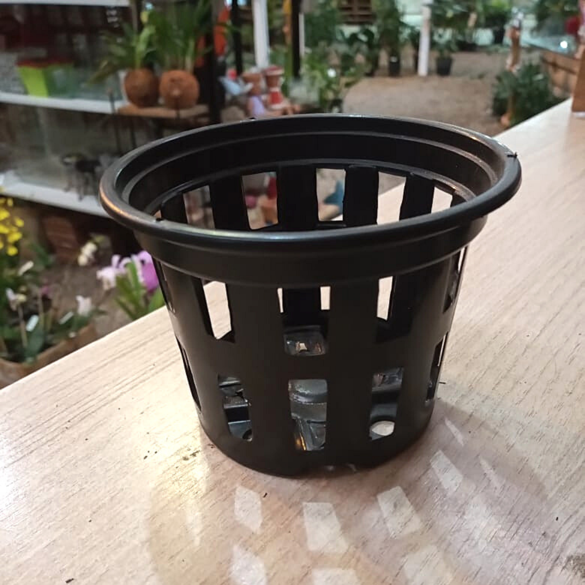 Kit com 5 Vasos de Plástico Vazado para Vanda Pequeno