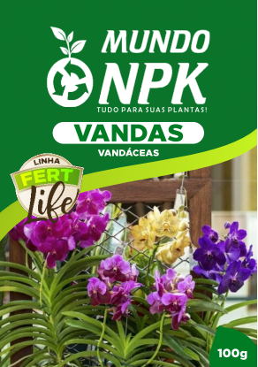 Kit Vanda 500g