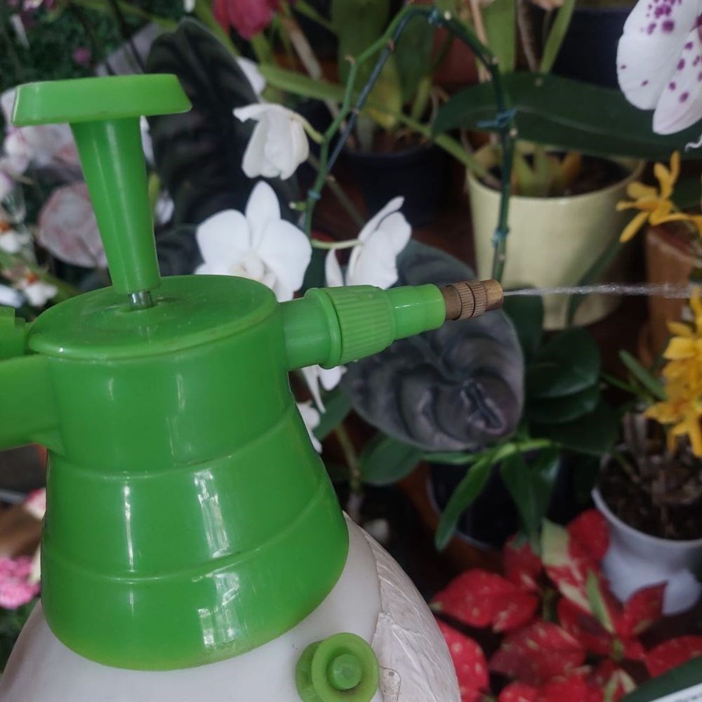 Pulverizador Forth Manual 2 Litros Compressão Alta Pressão