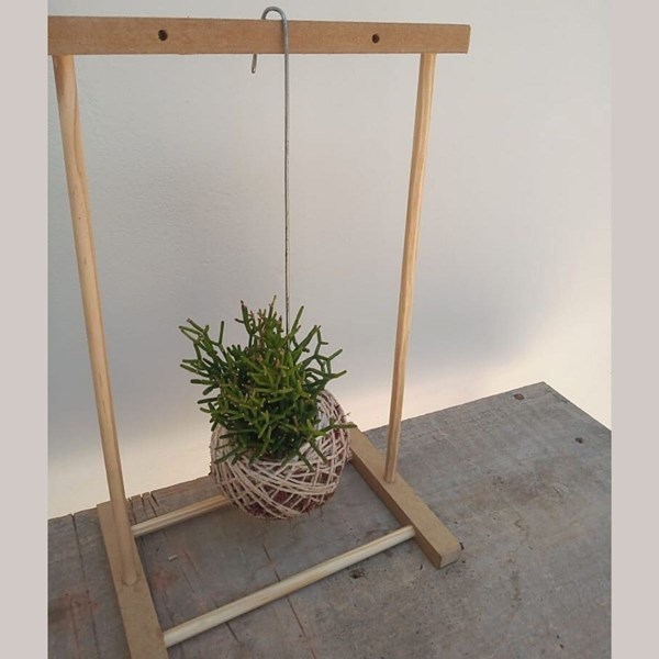 Kokedama de Folhagem Ripsalis