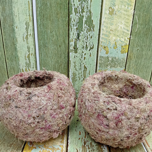 Kokedama de Musgo Rosa 2 unidades 