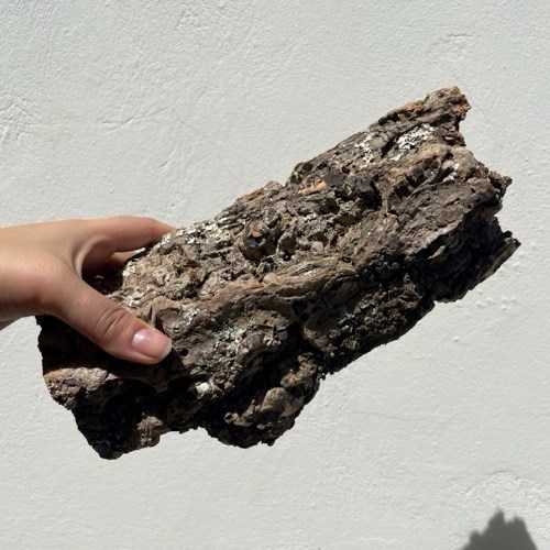 Casca Oca Suporte Rústico de Madeira para Arranjos