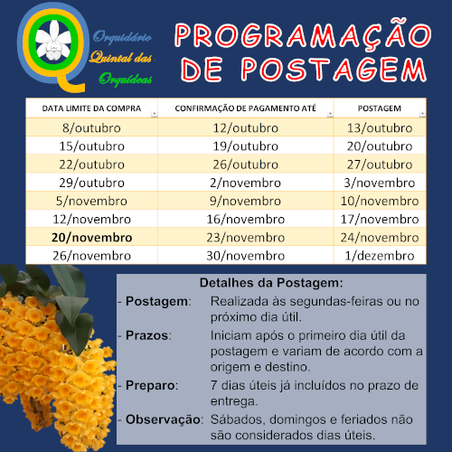 Catasetum Tupã - adulto