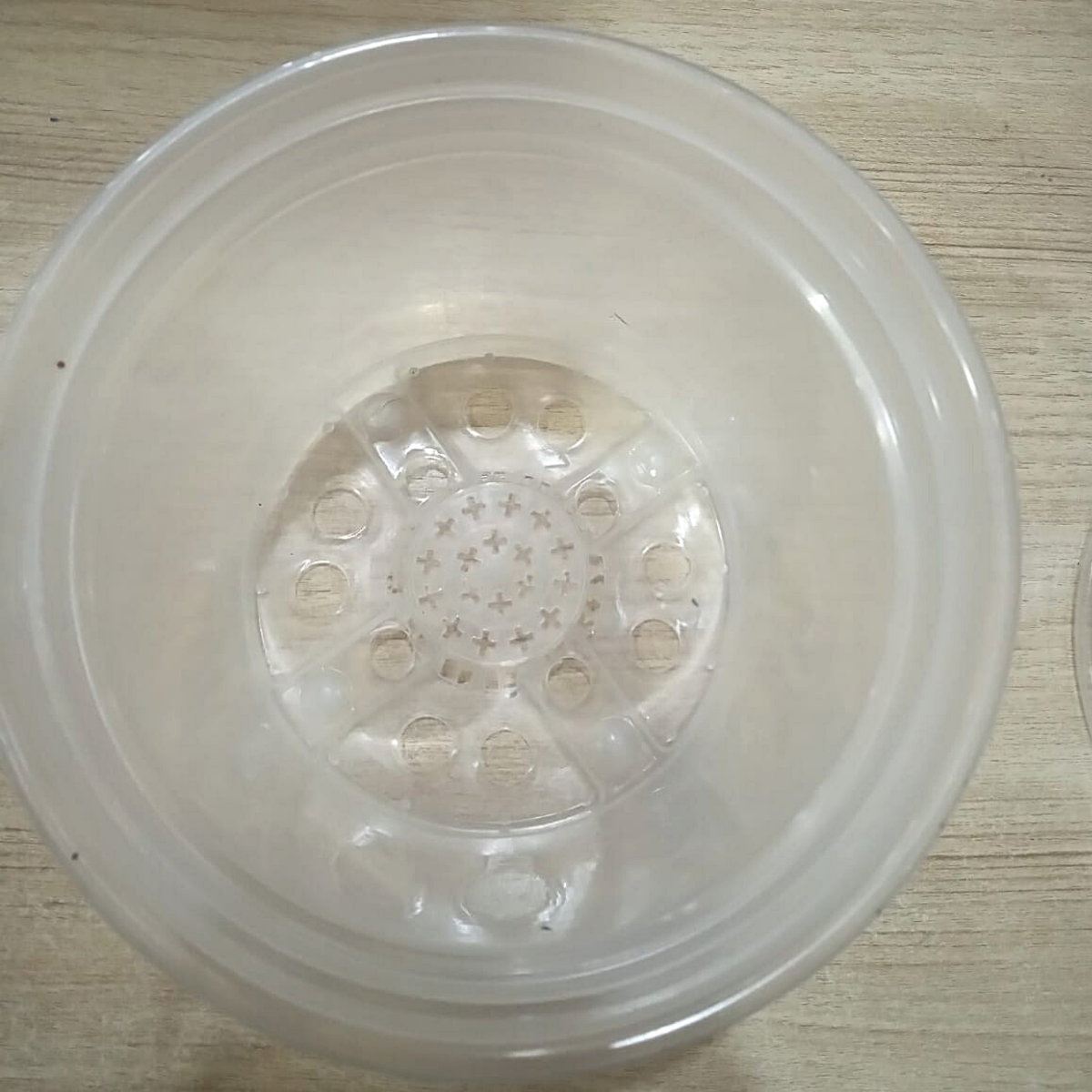 Kit com 10 Vasos transparente 14 cm