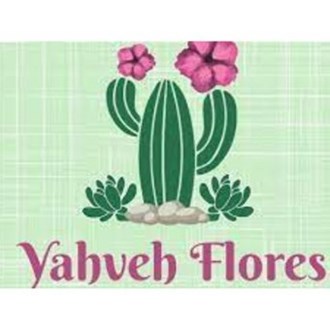 Yahveh Flores - cactos, folhagens e  pendentes