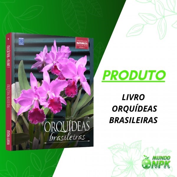 Livro - Orquídeas Brasileiras