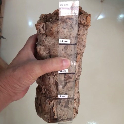 Casca Oca Suporte Rústico de Madeira para Arranjos