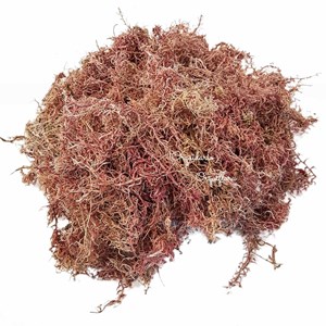 Musgo Sphagnum 5 Litros Substrato Para Plantas E Orquídeas