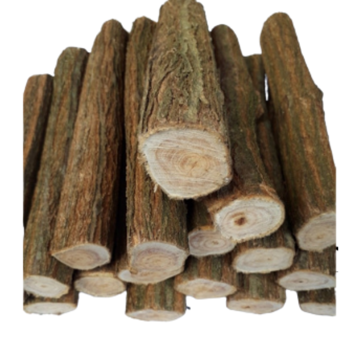 Toco de sansão 05 unidades de 30cm - 02 à 05cm de espessura