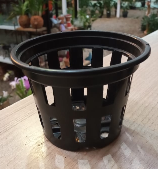 Kit com 5 Vasos de Plástico Vazado para Vanda Pequeno