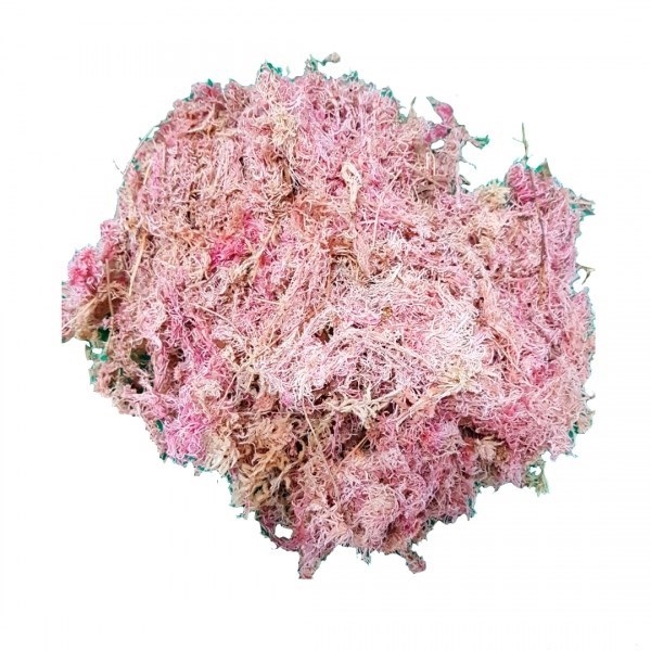 Substrato Musgo Nacional/Sphagnum