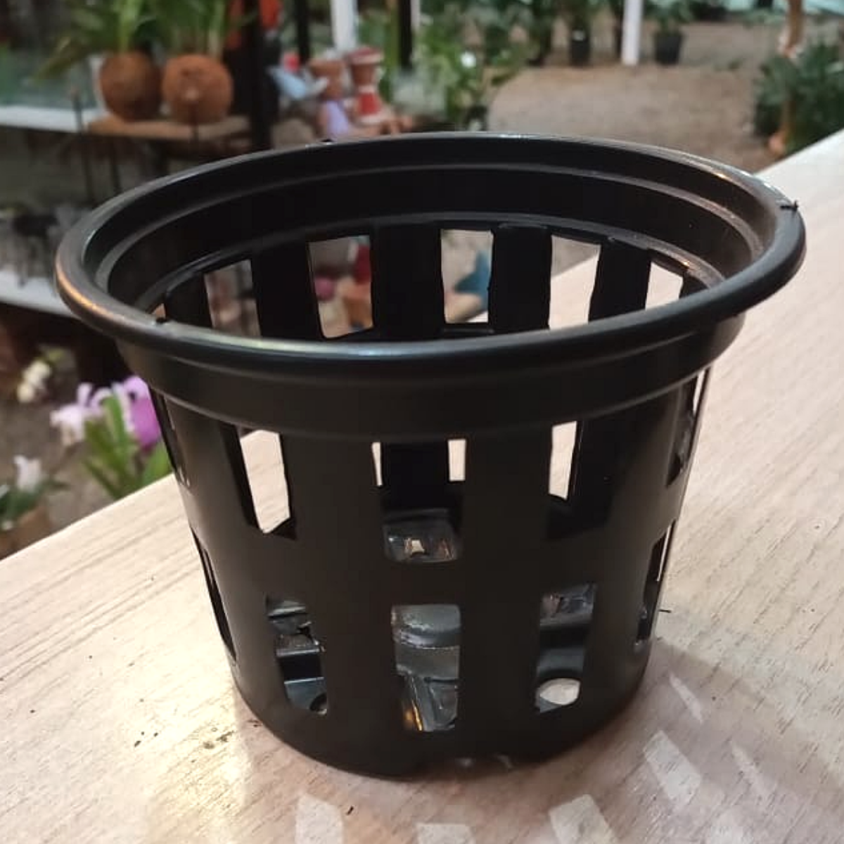 Kit com 5 Vasos de Plástico Vazado para Vanda Pequeno