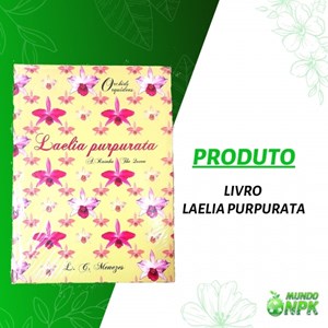 Livro - Laelia Purpurata