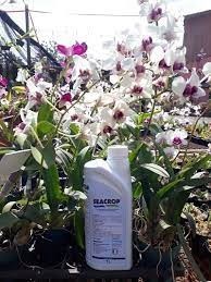 Seacrop - fertilizante mineral misto- Embalagem de 100ml.