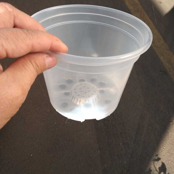 Kit com 10 Vasos transparente 14 cm