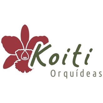 Koiti Orquídeas