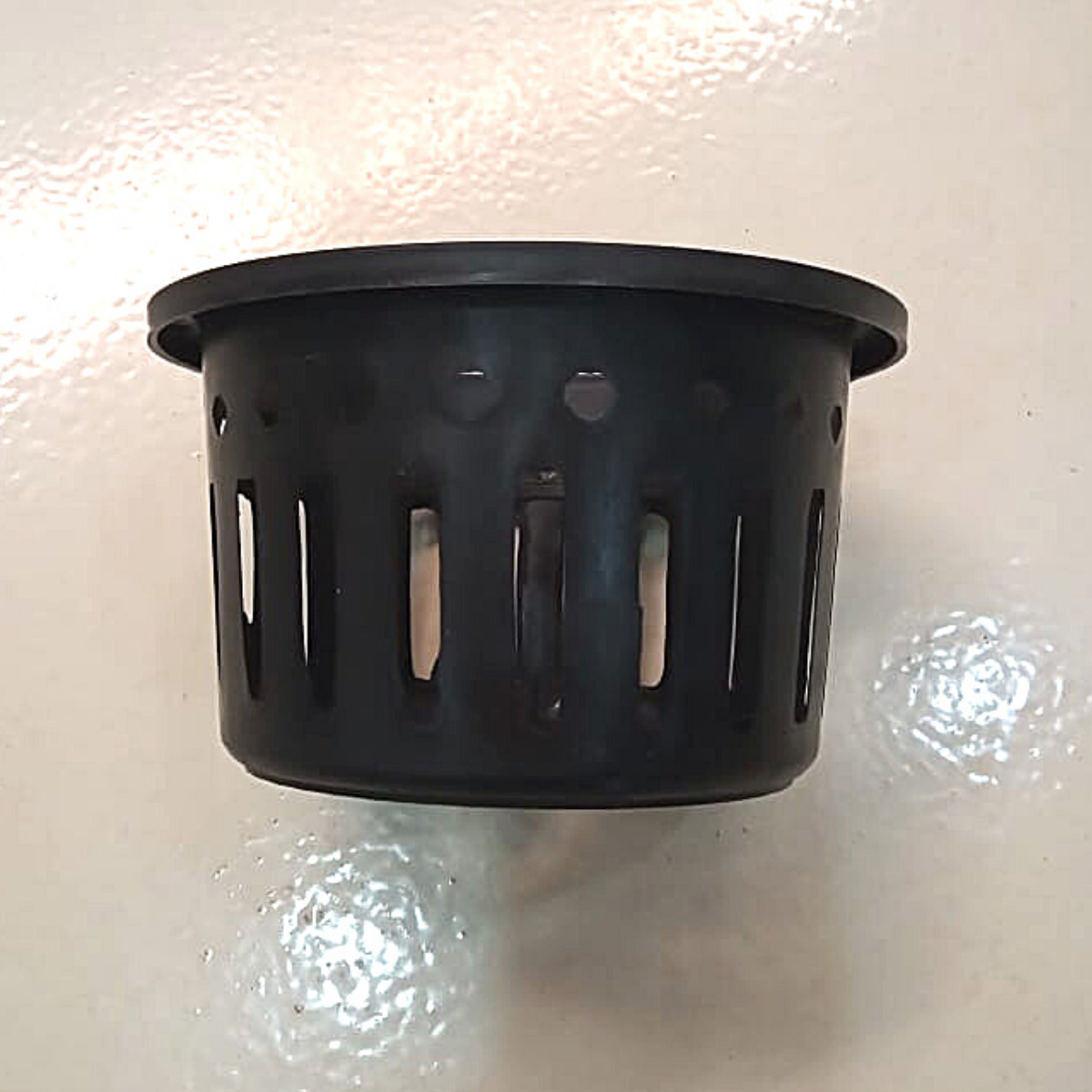 Kit com 5 Vasos de Plástico Vazado para Vanda ou Stanhopea Grande Preto