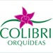 COLIBRI ORQUIDEAS