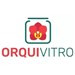 OrquiVitro