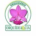 Orquídea&Cia Valinhos
