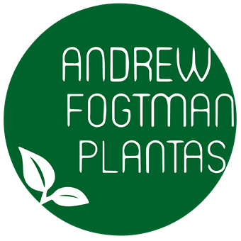 Andrew Fogtman 